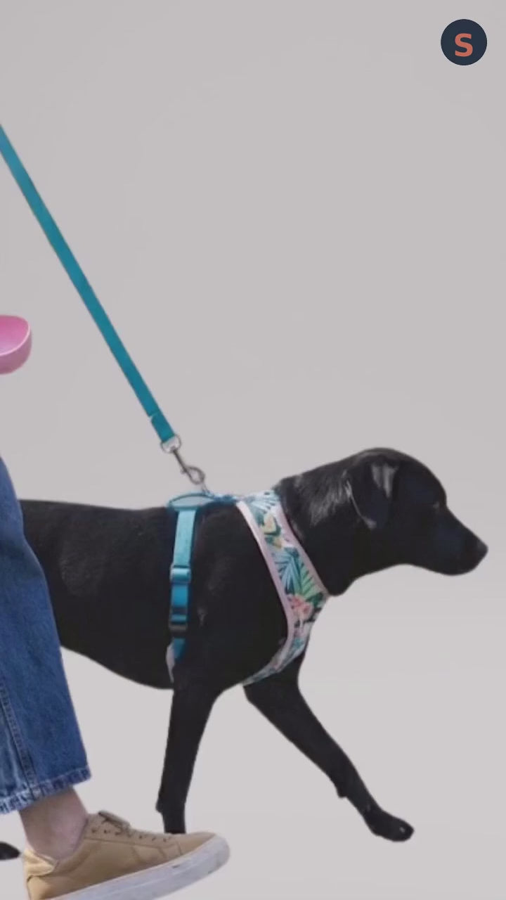 Bebedero Portátil Antiderrames Automático para Mascotas 500 ml